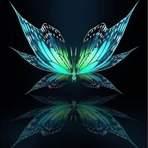 Meet your Posher, Angel